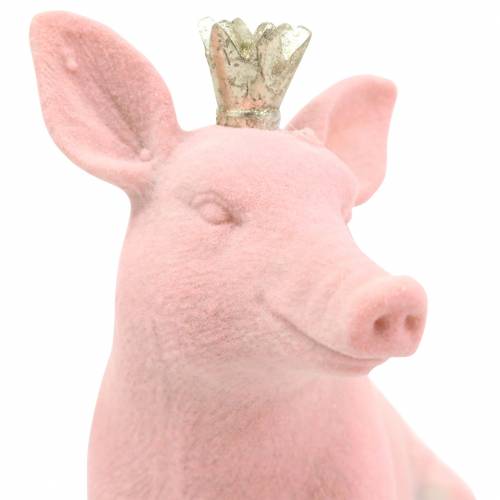 Floristik24 Set de figurines décoratives cochon porte-bonheur avec couronne dorée 12 × 7 × 13cm / 9,2 × 5,5 × 10cm 2pcs