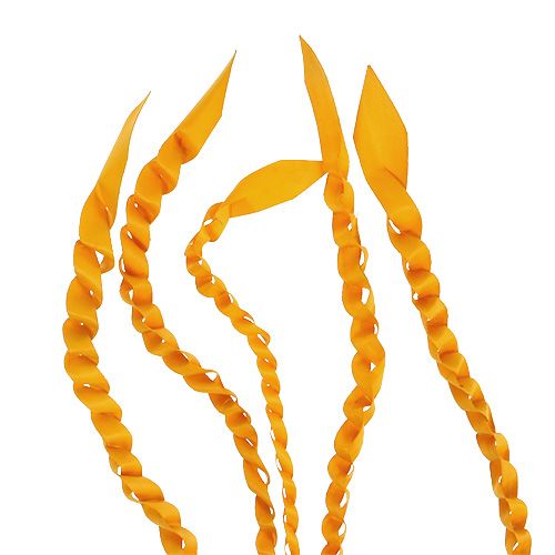 Article Vrille d&#39;Or Jaune Doré 50 pcs
