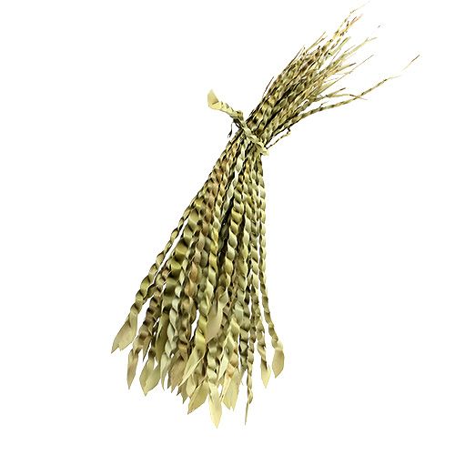 Floristik24 Vrille dorée nature 50 pcs