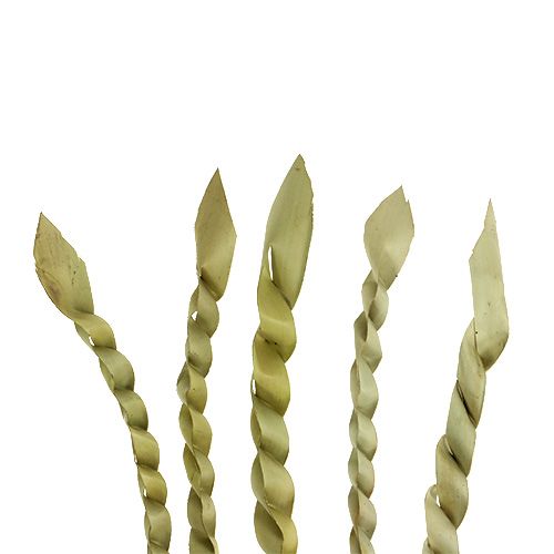 Article Vrille dorée nature 50 pcs