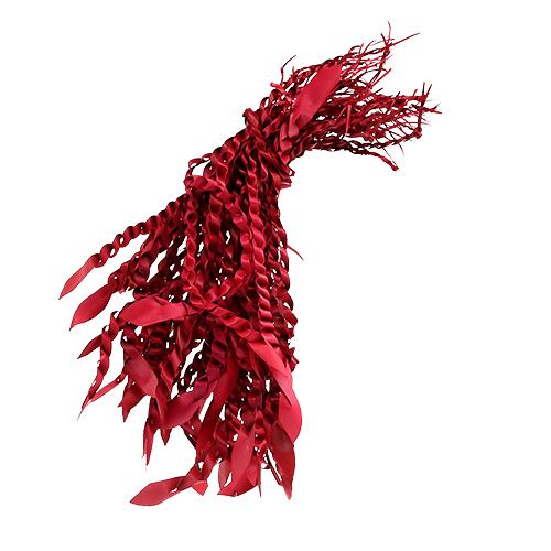 Floristik24 Vrille d&#39;Or Rouge 50 pcs
