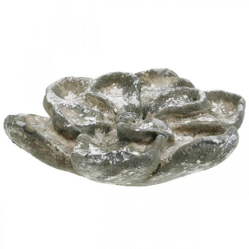 Floristik24 Décoration tombe, décoration béton, décoration jardin, rosace béton Ø15.5cm