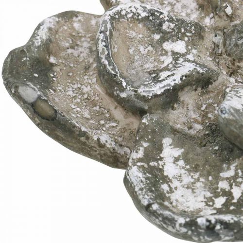 Floristik24 Décoration tombe, décoration béton, décoration jardin, rosace béton Ø15.5cm