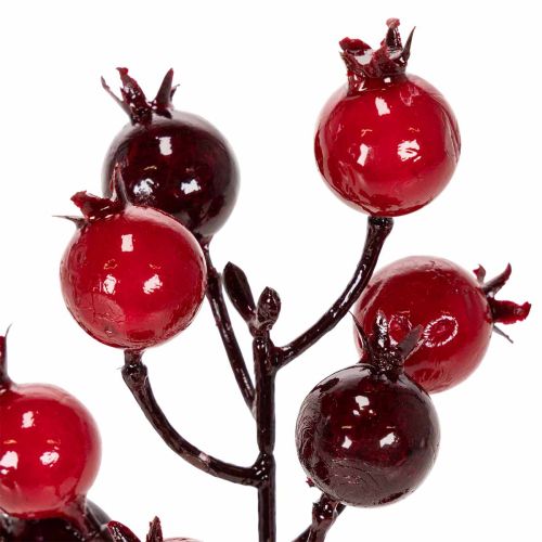 Branche de grenadier