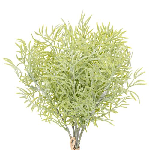 Branche d'asperge ornementale, élément naturel pour les bouquets de fleurs, 34 cm, 7 pièces