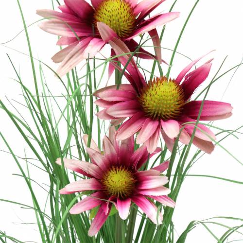 Floristik24 Herbe avec échinacée artificiellement dans un pot rose 44cm