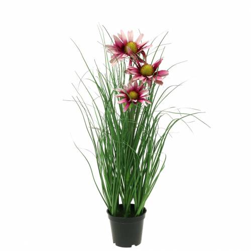 Floristik24 Herbe avec échinacée artificiellement dans un pot rose 44cm