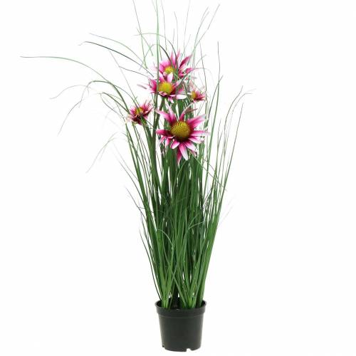 Floristik24 Herbe à échinacée artificielle en pot rose 63 cm