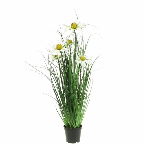 Floristik24 Herbe avec échinacée artificiellement dans le pot blanc 52cm