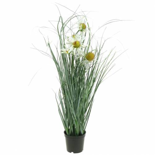 Article Herbe à échinacée artificielle en pot blanc 56cm