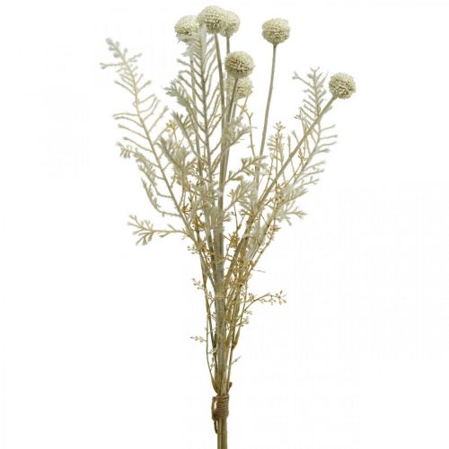 Article Herbes sèches herbe de pampa artificielle allium crème, beige H60cm
