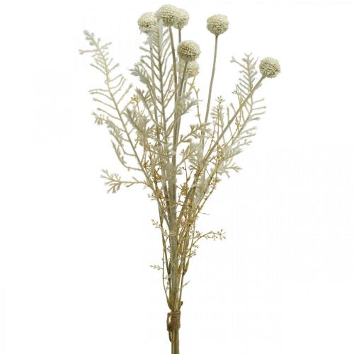 Floristik24 Herbes sèches herbe de pampa artificielle allium crème, beige H60cm