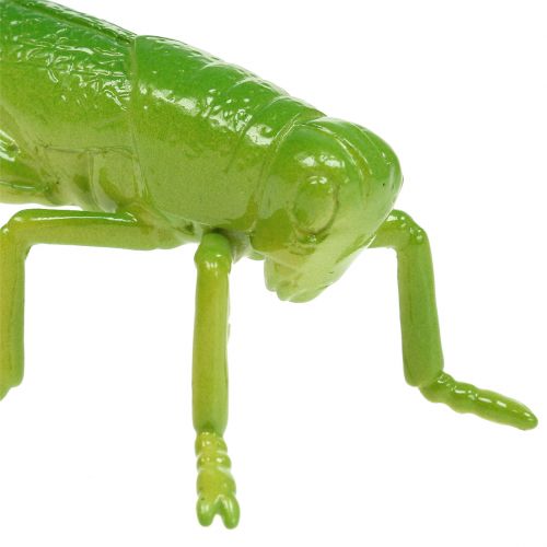 Sauterelle verte 11 cm 1 p.