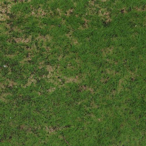 Floristik24 Tapis de gazon synthétique 30cm x 166cm