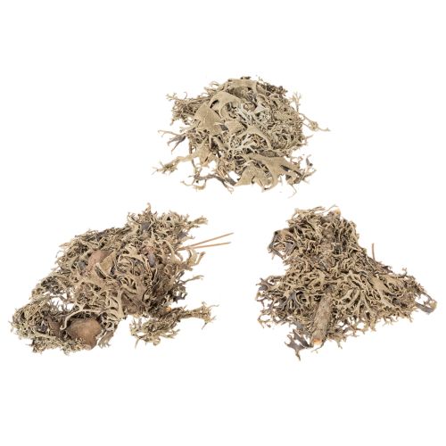 Mousse décorative grise pour loisirs créatifs, 500 g | Floristik24.be