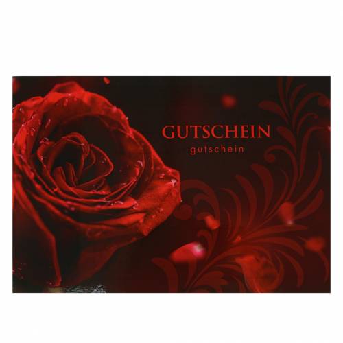 Floristik24 Coupon Rose avec enveloppe 5pcs