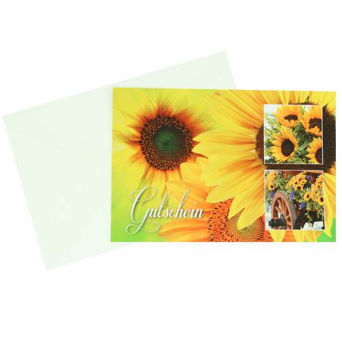 Floristik24 Bon tournesol avec enveloppe 5pcs