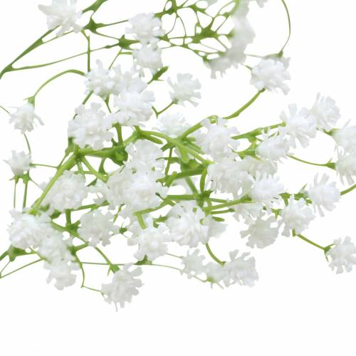 Floristik24 Gypsophile Gypsophile Blanc 66cm