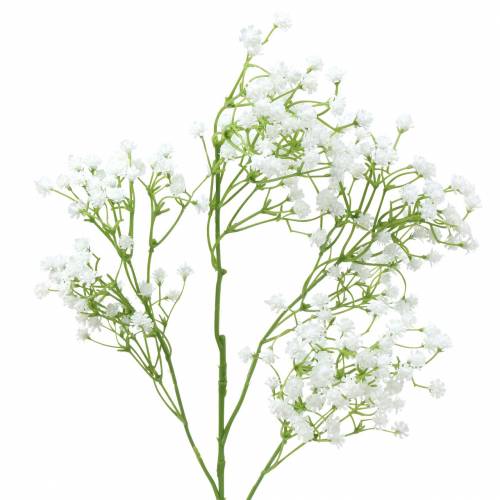 Floristik24 Gypsophile Gypsophile Blanc 66cm