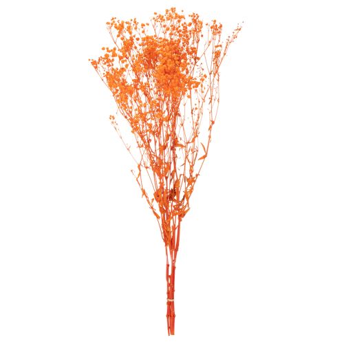 Bouquet de gypsophile séchée (75 cm, 100 g) | Floristik24.be