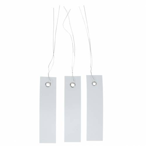 Étiquettes à suspendre blanches 20mm x 80mm 250 pcs