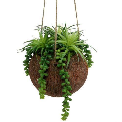 Floristik24 Succulentes artificielles en pot à suspendre L60cm Ø16cm