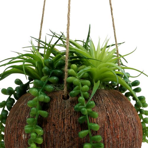 Floristik24 Succulentes artificielles en pot à suspendre L60cm Ø16cm