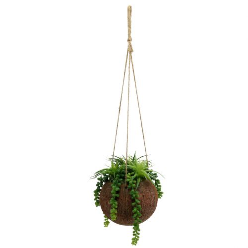 Floristik24 Succulentes artificielles en pot à suspendre L60cm Ø16cm
