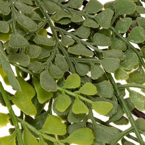 Branche de fougère artificielle, délicate, pour vase, 80 cm | Floristik24.be