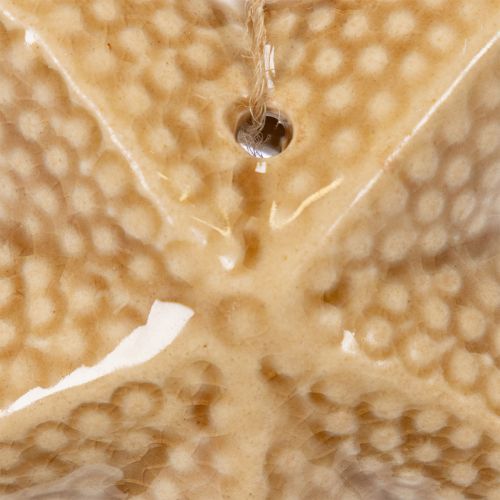 Article Étoile de mer décorative en céramique à suspendre, pour une ambiance marine, décoration estivale pour la maison, 12 cm, lot de 2