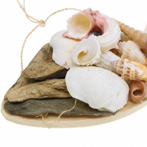 Floristik24 Décoration maritime à suspendre poisson avec coquillages bois 18cm