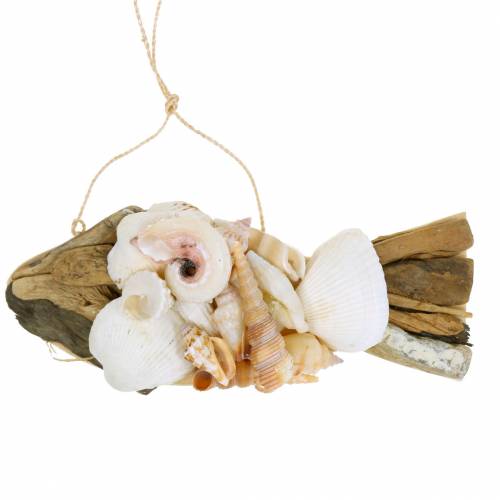 Floristik24 Décoration maritime à suspendre poisson avec coquillages bois 18cm