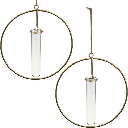 Floristik24 Anneau décoratif pour accrocher tube à essai métal doré Ø16cm 4pcs