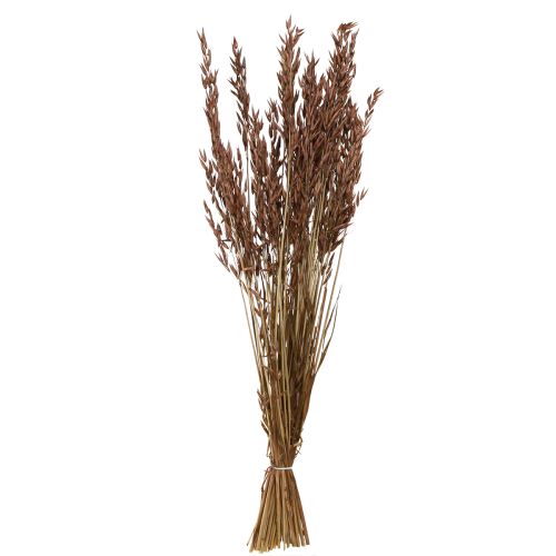 Article Avoine décoration sèche herbe sèche marron L64cm 70-75g 2pcs