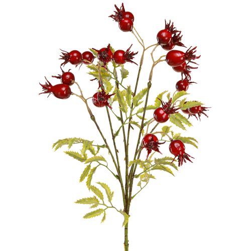 Floristik24 Branches décoratives artificielles d&#39;églantier avec 7 fruits rouge foncé 48cm
