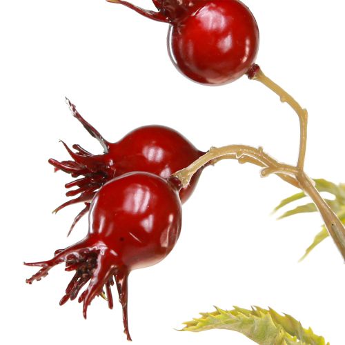 Floristik24 Branches décoratives artificielles d&#39;églantier avec 7 fruits rouge foncé 48cm
