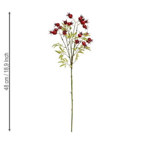 Floristik24 Branches décoratives artificielles d&#39;églantier avec 7 fruits rouge foncé 48cm