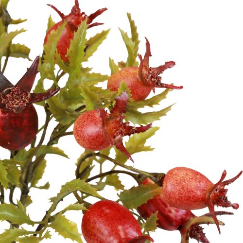 Rose Musquée Déco Branches de Rose Musquée Artificielle L48cm 3pcs