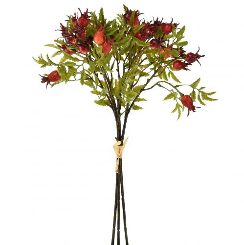 Article Décoration de cynorhodon rouge branches de cynorhodon artificielles 48 cm 3 pièces