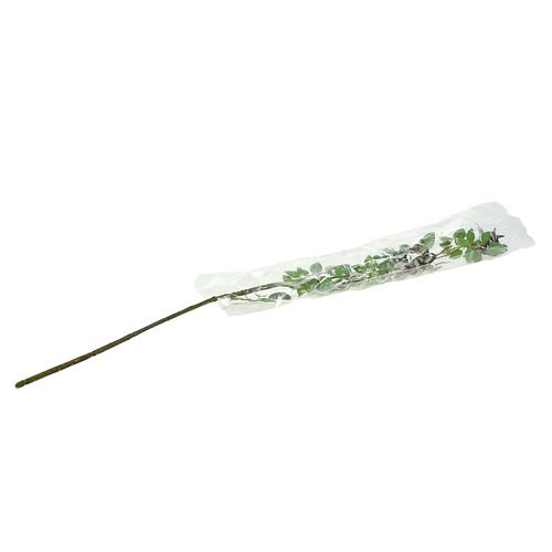 Floristik24 Branche d&#39;églantier L92cm avec neige