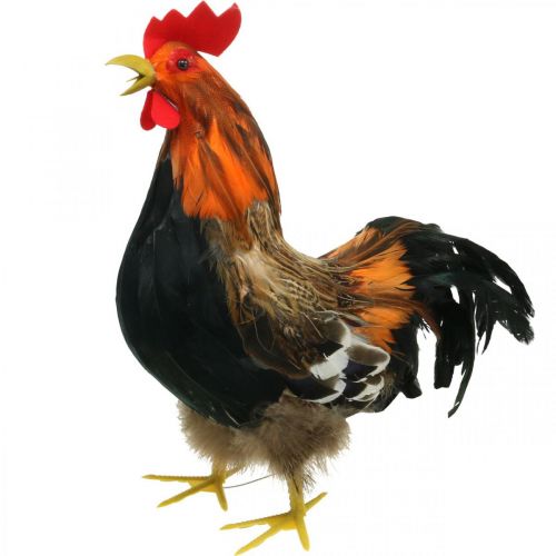 Coq décoratif avec plumes décoration de Pâques figurine coq de ferme 36cm