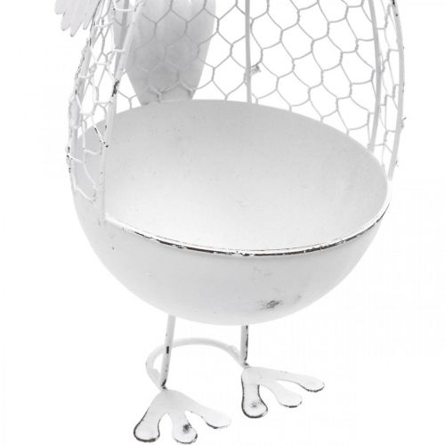 Floristik24 Poule à planter, panier treillis, décoration Pâques, style champêtre blanc, argent H26,5cm Ø11,5cm