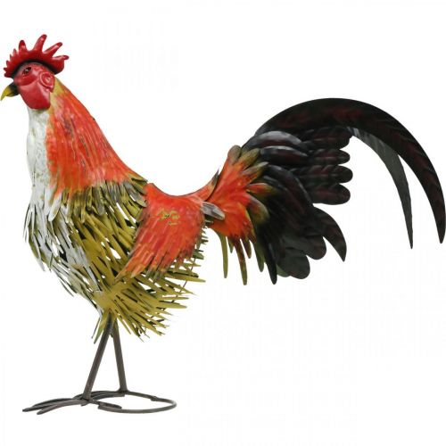 Floristik24 Coq décoratif en métal décoration de jardin colorée décoration en métal 58×13×50cm