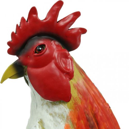 Floristik24 Coq décoratif en métal décoration de jardin colorée décoration en métal 58×13×50cm