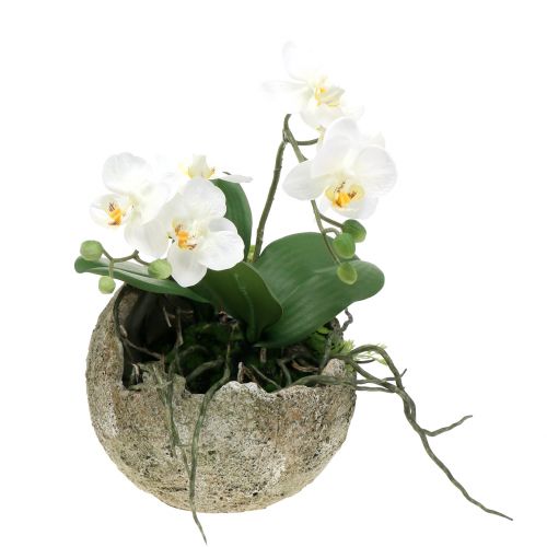 Floristik24 Boule de béton pour la plantation Ø15cm H13,5cm