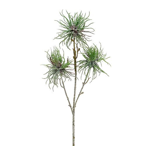 Branche d&#39;hamamélis 44cm vert, argent 1p