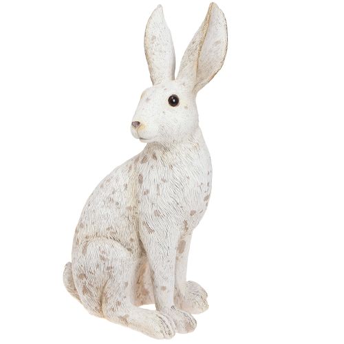 Floristik24 Lapin Assis Lapin de Pâques Décoration de Pâques Shabby Chic 16×13×35cm