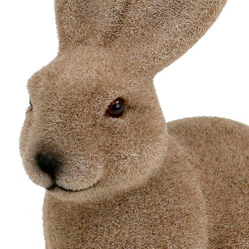 Floristik24 Lapin floqué marron 15.5cm 4pcs