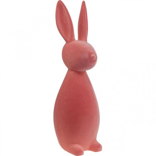 Floristik24 Lapin de Pâques décoratif – 2e choix – Floqué orange abricot H69 cm