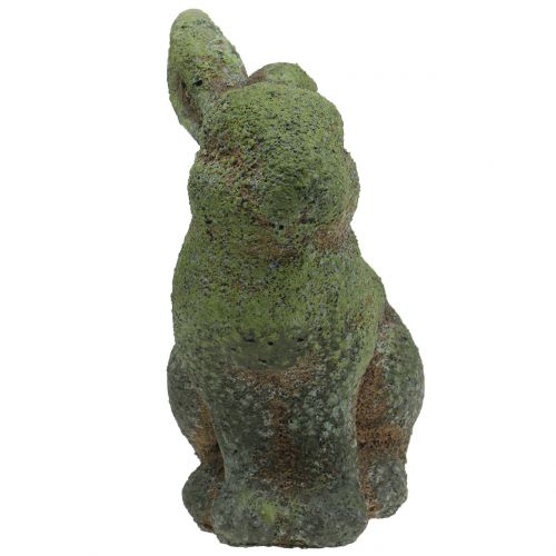 Floristik24 Figurine de jardin lapin mousse 20cm x 13cm H25cm